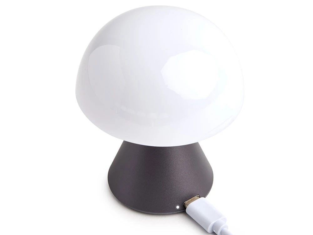 Лампа интерьерная Mina