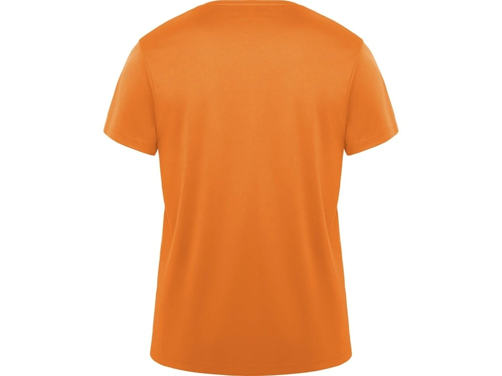 Спортивная футболка Daytona мужская