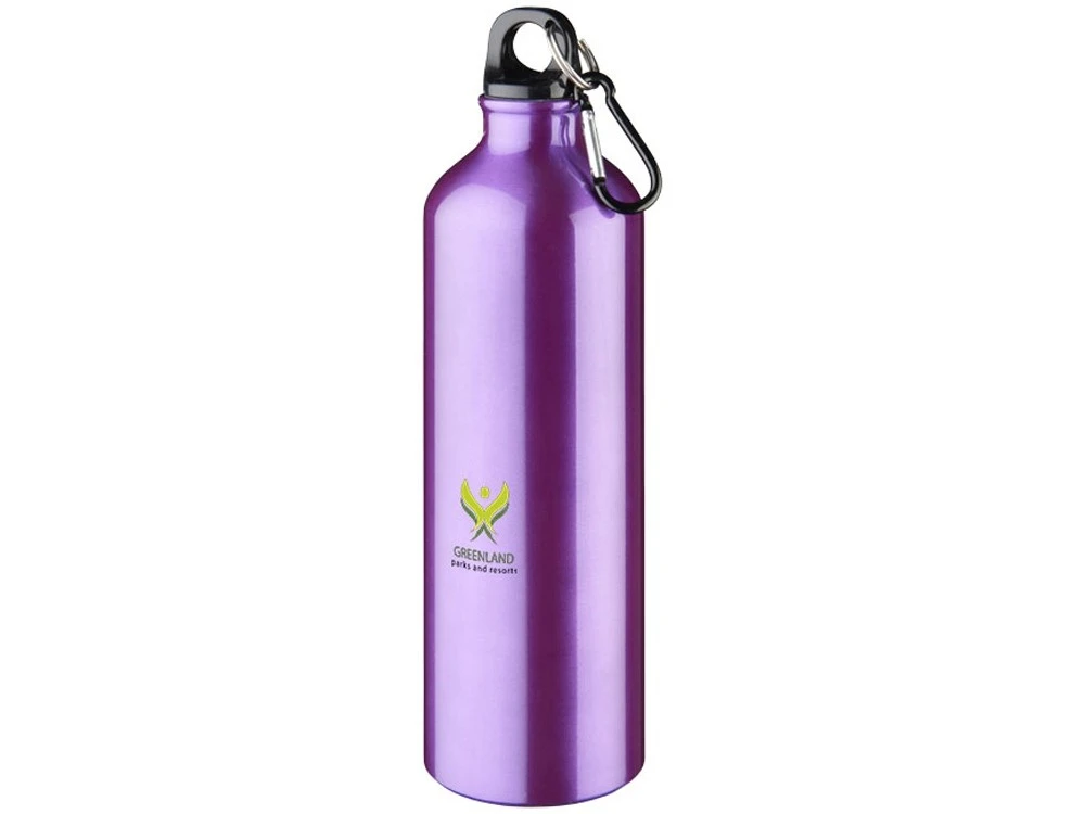 Алюминиевая бутылка Oregon с карабином