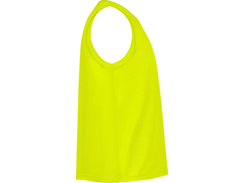 Манишка спортивная Roma, унисекс