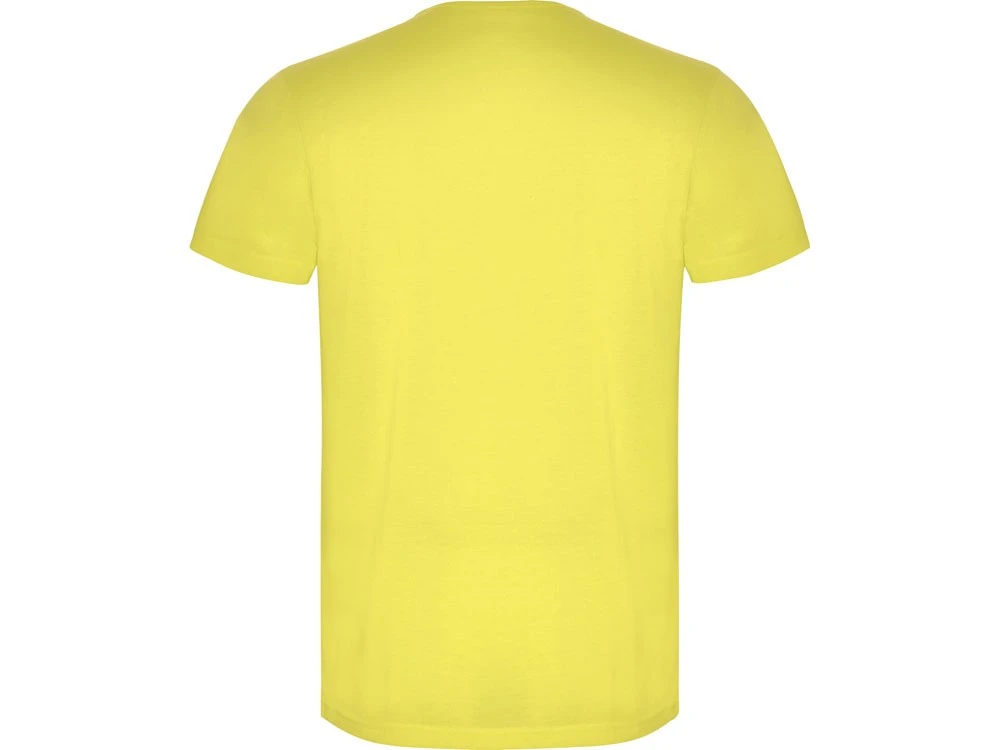 Футболка Akita мужская