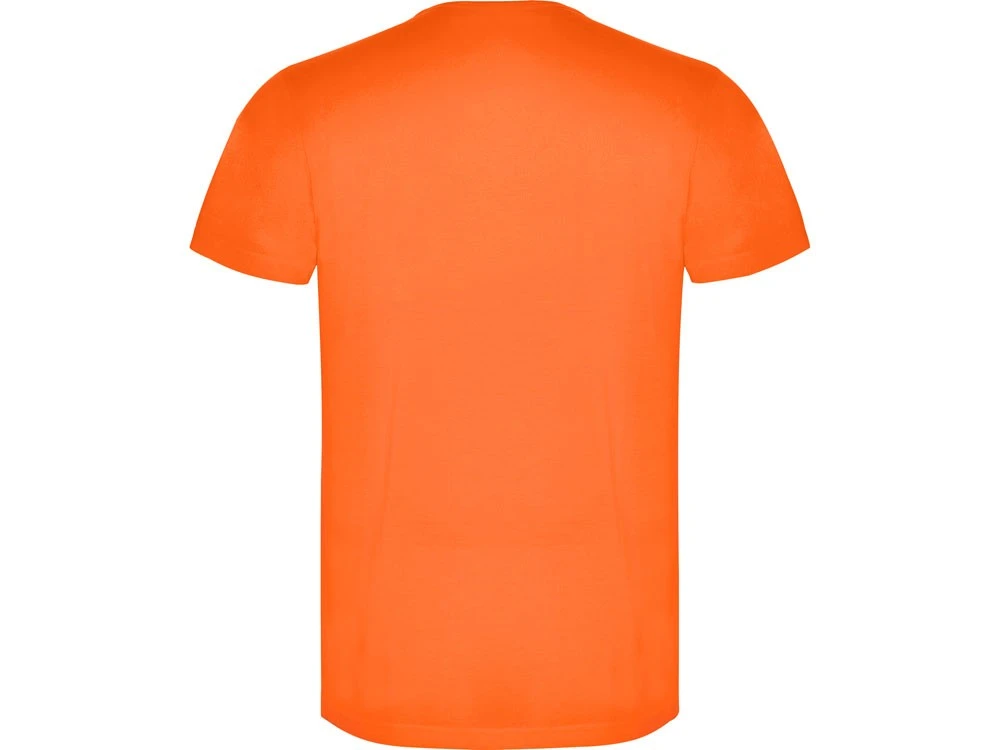 Футболка Akita мужская